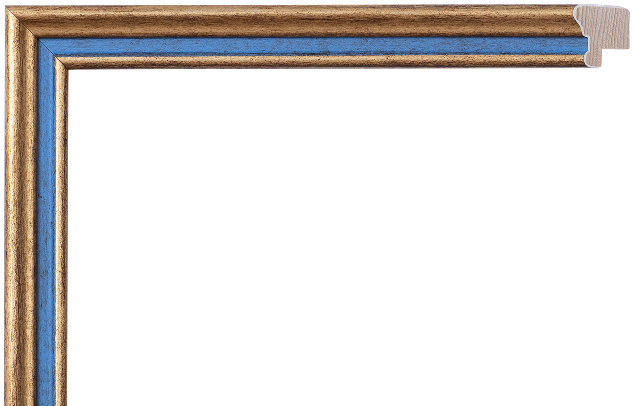 C-701004