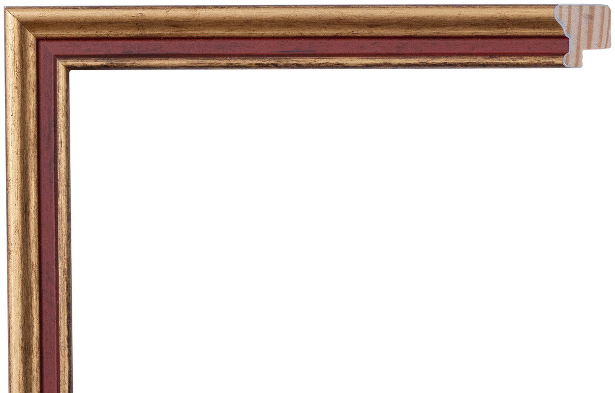 C-701010